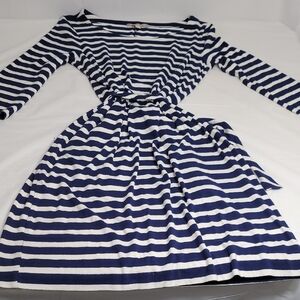 Banana Republic Blue and White Fit and Flare Mini Dress